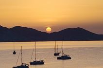 IMG-20240612-WA0014.jpg