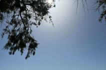 IMG-20240608-WA0003.jpg