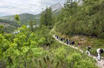 IMG-20260616-WA0028.jpg