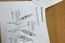 IMG-20231017-WA0031.jpg