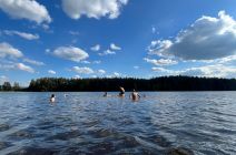 IMG-20240610-WA0009.jpg