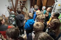 IMG-20251014-WA0015.jpg