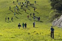 IMG-20260615-WA0010.jpg