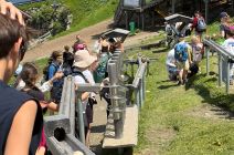 IMG-20260618-WA0020.jpg