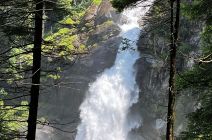 IMG-20250611-WA0077.jpg