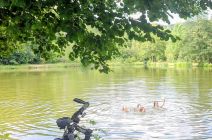IMG-20260618-WA0029.jpg