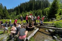 IMG-20250610-WA0032.jpg
