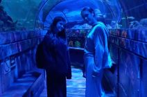 img-20260914-wa0010.jpg