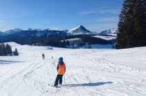 IMG-20250124-WA0010.jpg