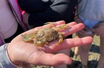 IMG-20250520-WA0033.jpg
