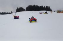 IMG-20250123-WA0014.jpg