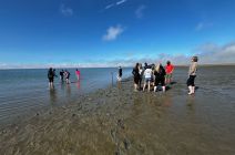 IMG-20250520-WA0034.jpg