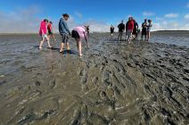 IMG-20250520-WA0019.jpg