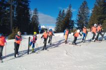 IMG-20250123-WA0006.jpg