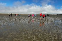 IMG-20250520-WA0021.jpg
