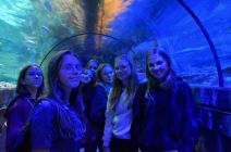 dsc-1236.JPG