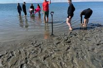 IMG-20250520-WA0016.jpg