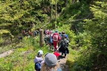 IMG-20250529-WA0046.jpg