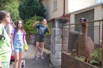 IMG-20240626-WA0003.jpg