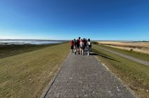 IMG-20250520-WA0011.jpg