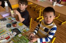 9b953235-01cf-4d0d-9cff-7ebe976687c6.jpeg
