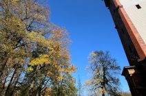IMG-20241017-WA0010.jpg